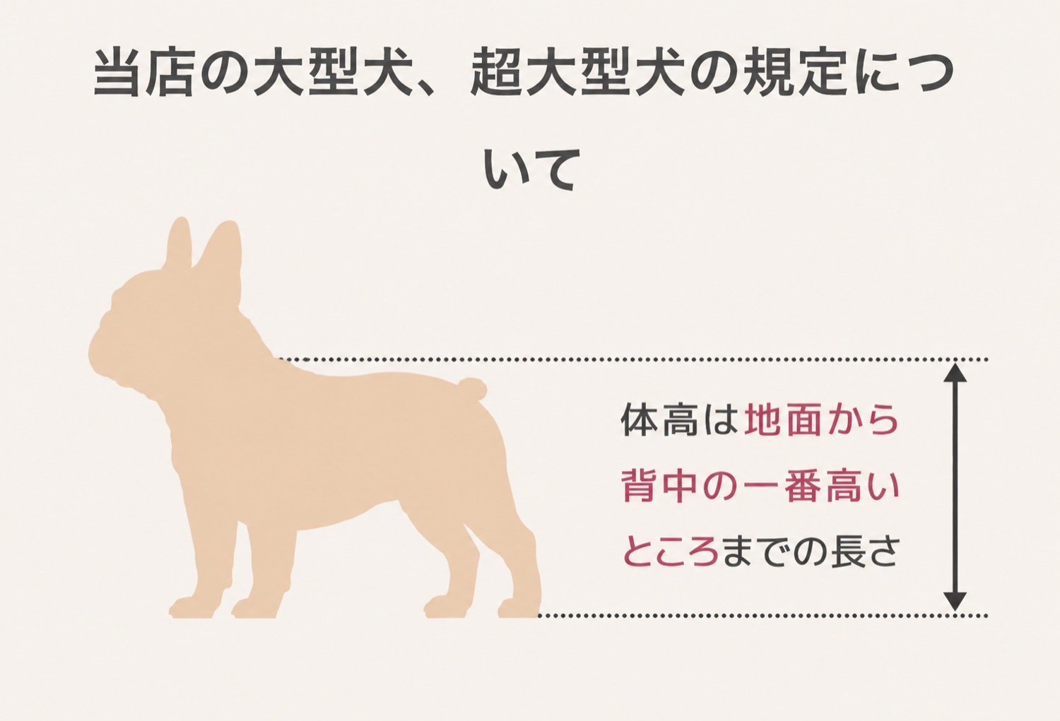 大型犬・超大型犬の規定（体高は地面から背中の一番高いところまでの長さ）